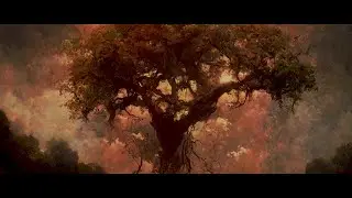 VINTAS - Ash and Oak