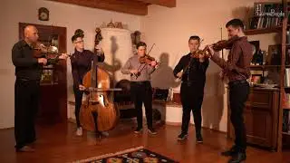 H&uacute;ros Banda: Bodrogk&ouml;zi muzsika