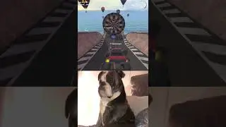 Funny video 😂, Part 1 | Game: Race Days