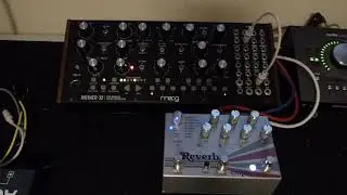 Moog Mother 32 & Empress Effects Reverb