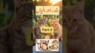 Story of Cats and Monkey | Story in Hindi | Story in Urdu #storytime #kidstory #story