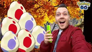 SCHIUDO 7 UOVA DA 10 KM + 5 DA 12 KM! - Pok&eacute;mon GO