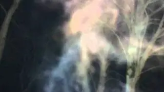 Faces in the mist  Presented by G B L