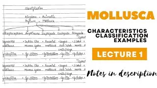 Phylum Mollusca | Characteristics | Classification | Examples | Notes pdf in description.
