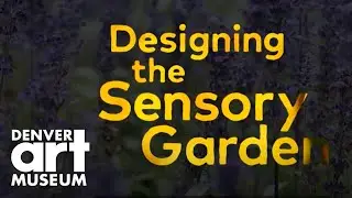 Designing the Sensory Garden at the Denver Art Museum