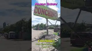 Conching's Native Chicken, North Reclamation Area, Cebu City #cebu #inasal #food #asakamigo