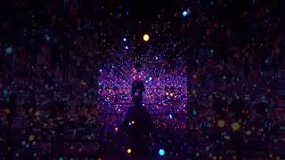 Infinity Mirror Room: Gleaming Lights of the Souls by Yayoi Kusama at the Museum Voorlinden.
