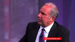 Jim Chanos - Risk Of Short Selling - 27 May 15  | Gazunda