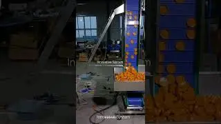 Cap Elevator | Bottle Cap Elevator | Cap Elevator For Bottle Filling machine