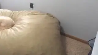 Sumo Lounge Omni Plus Expanding Time Lapse