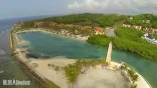 Parrot Tree Plantation, Roatan Honduras