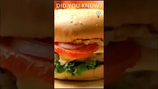 Did u know#mcdonaldfacts#viral#burgerfacts#foodfacts#shorts#viral#funfacts