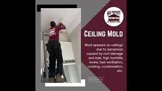 Ceiling Mold Stockbridge Georgia - Hasi Property Restoration