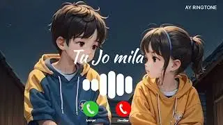 Tu Jo Mila [Slowed & Reverb]  Ringtone | Love Ringtone | New Ringtone 2023