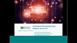 Development of high throughput assays for lead optimization in drug discovery