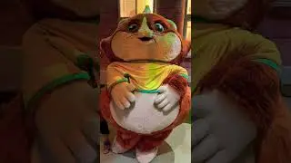 44 Gatti POLPETTA E PILOU 😍#44gatti #polpetta #cartoon #shorts #44cats #cats #cartoneanimato #pilou