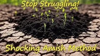 Stop Fighting Compacted Clay With Endless Digging   Amish Humus Method Is The Way