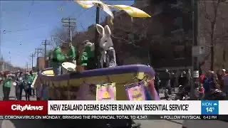 Is the Easter bunny an essential worker?