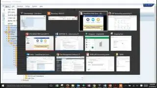 FI Statements and Fiori Management Reporting
