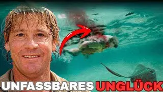 Steve Irwin SCHRECKLICHE LETZTE MINUTEN