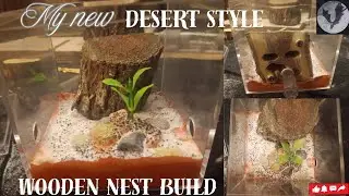 My Newest Wooden Ant Nest Build! #antkeeping #diy