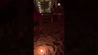 حب نفسك وحب الحياة