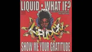 L-Fudge - What If?