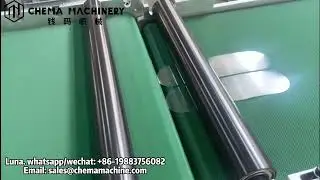 CMMQ Label Flatbed Die-Cutting Machine With  In Mold Cutting and Conveyor Table