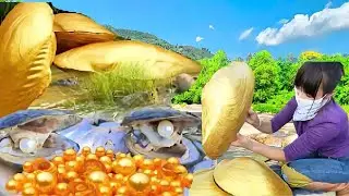 Strange stories from aruond the word - the valuable secrect inside a clam