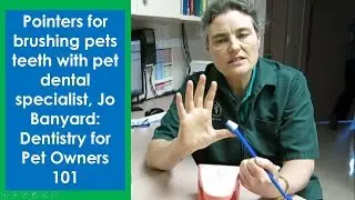 Pointers for Brushing pets teeth with pet dental specialist Jo Banyard: Dentistry for Pet Owners 101