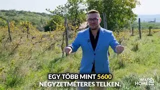 🌿 Panorámás birtok a Káli-medence szívében – Szentbékkálla