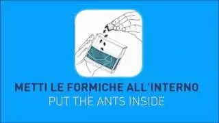 Formicaio Artificiale Super Forest Ant - troppotogo.it