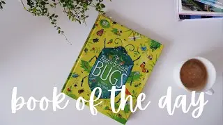 DK The Book of Brilliant Bugs (book flip through)