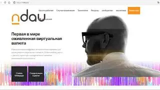 ОбЗОР ICO Ndau