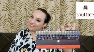 Soultree Ayurvedic Lipsticks| Swatches of all the mini lipsticks| Best Lipstick for Indian Skin tone