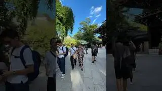 Kyoto Kitano Tenmangu Shrine #北野天満宮 #walkingtour #kyoto #japan #shrine #kyotolife #shinto