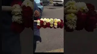 #lahore Pakistan#lahorerang #youtubeshorts #ytshorts #beautifullahore #lahorevisit