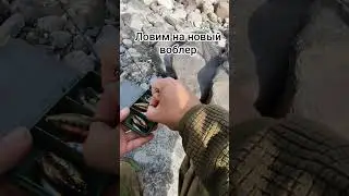 Обкатал новый комплект, спиннинг, катушка, и несколько воблеров #форель #trout #рыбалка #fishing