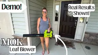 Review of Mok Leaf Blower from Amazon + DEMO