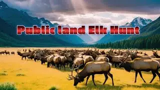 Public Land Elk Hunt White pine Idaho