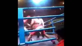 Eyger lamandau(1)