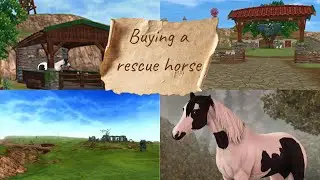 BUYING A RESCUE HORSE.☆.SSO RRP.☆.Ruby Sunheart