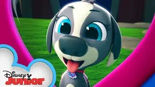 Pablo the Puppy 🐶| Calling All T.O.T.S. | T.O.T.S. | Disney Junior