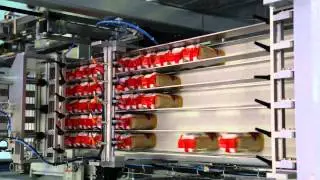 Vertical case packer ZFC (packaging riso) - ZUCCHINI PACKAGING, Italy