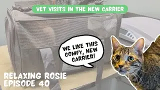 Best Cat Carrier for Vet Visits! 🐾 REFRZE Pet Carrier Review | 19 Cat Mom Approved