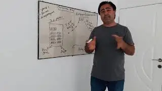zıt panel, kollegyum