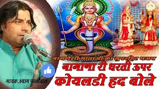 नागाणा री धरती ऊपर कोयलड़ी हद बोले  स्पेशियल #shyampaliwalbhajan 