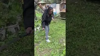 cleaning round my dog kennel
