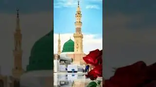 madina| ham|bhi|jaayenge|inshallah|#like#share #comments#subscribe #short#viralvideo #islamicstatus