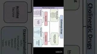 Cholinergic Drug #pharmacy  #pharmacology #lippincott #katzung